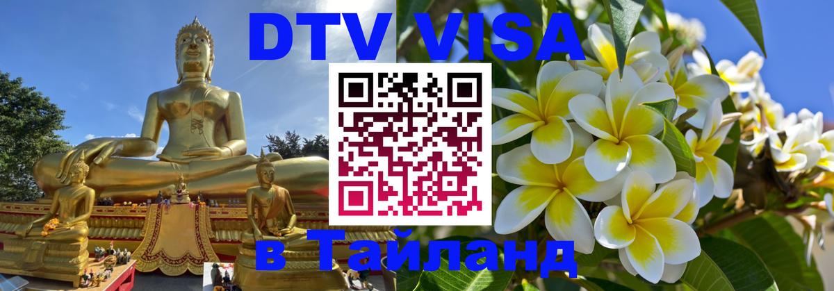 Сколько стоит DTV виза — актуальные цены, оформление даже без документов - 20.11.2025 